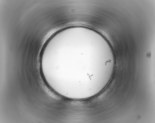 X0000093151082200710241358