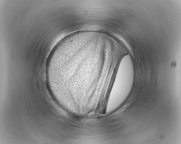 X0000093151083200710241358