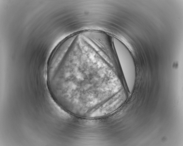 X0000093151084200710241358