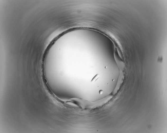 X0000093151085200710241358