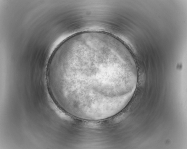 X0000093151086200710241358