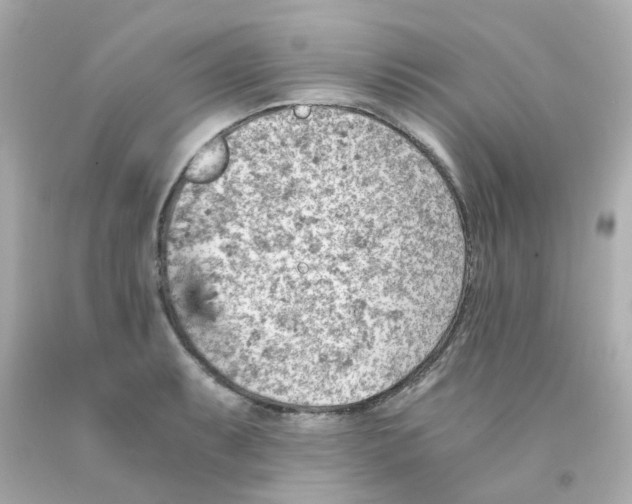 X0000093151087200710241358