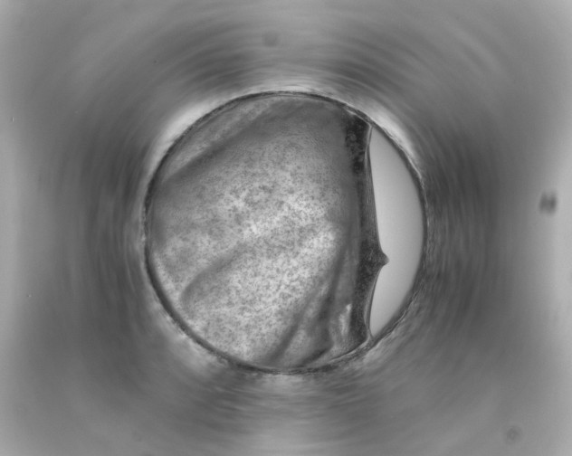 X0000093151088200710241358