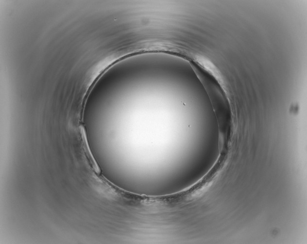 X0000093151089200710241358