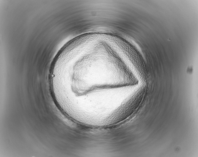 X0000093151091200710241357