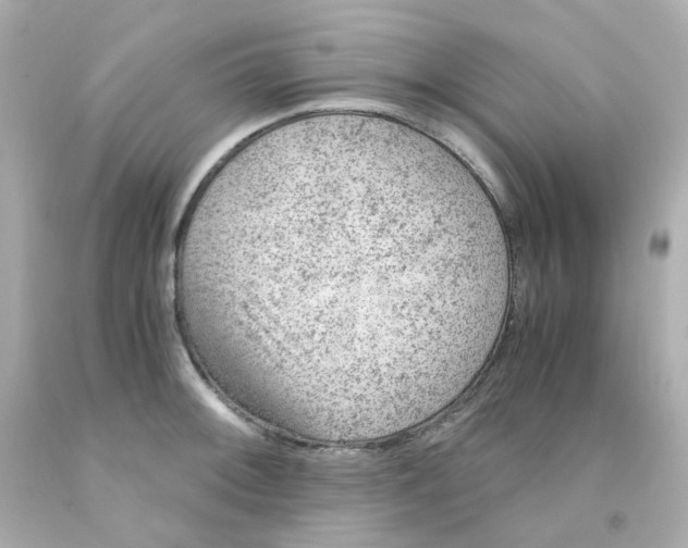 X0000093151092200710241357