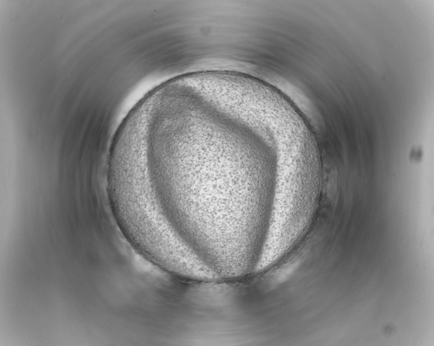 X0000093151094200710241357