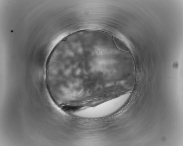 X0000093151095200710241357