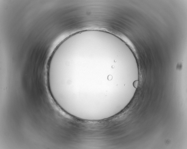 X0000093151096200710241357