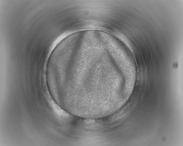 X0000093151098200710241357