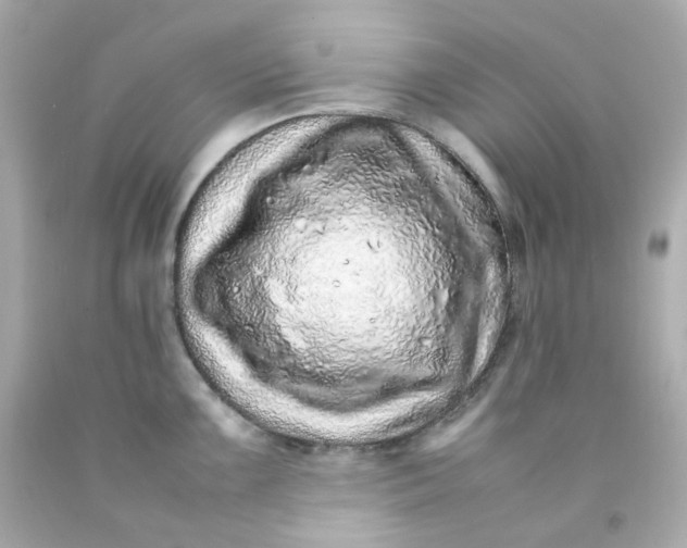 X0000093151099200710241357