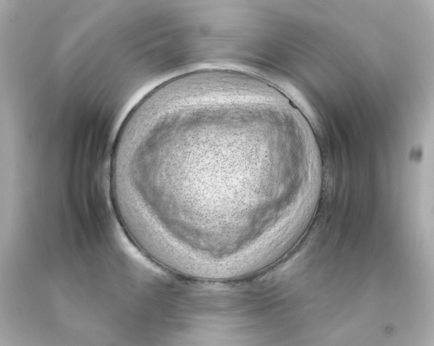 X0000093151100200710241357