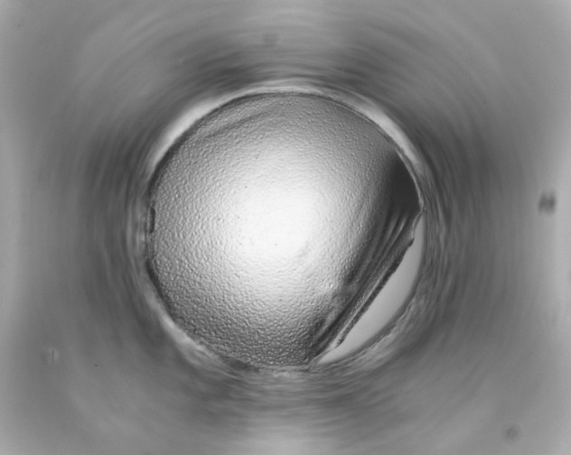 X0000093151101200710241357