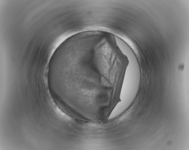 X0000093151102200710241357