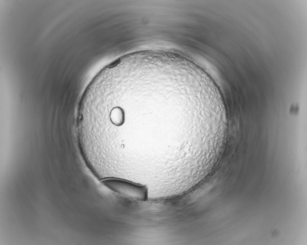 X0000093151103200710241357