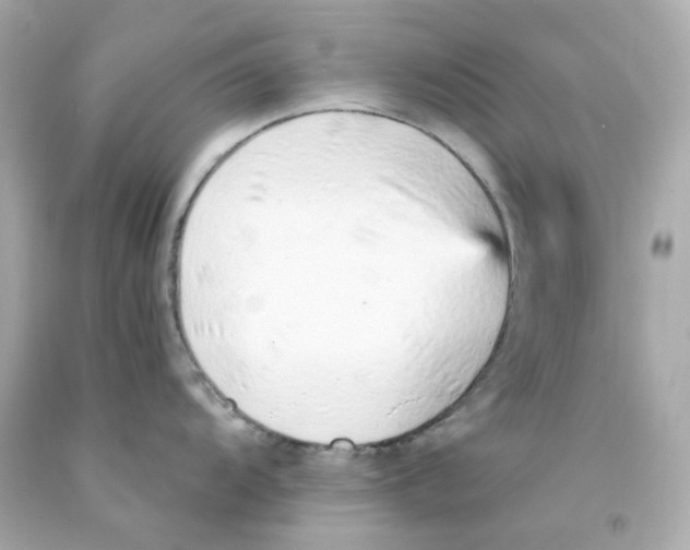 X0000093151104200710241357