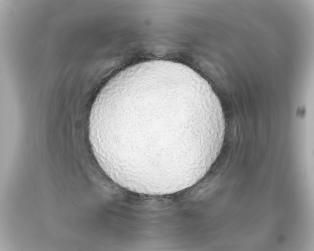 X0000093151105200710241357