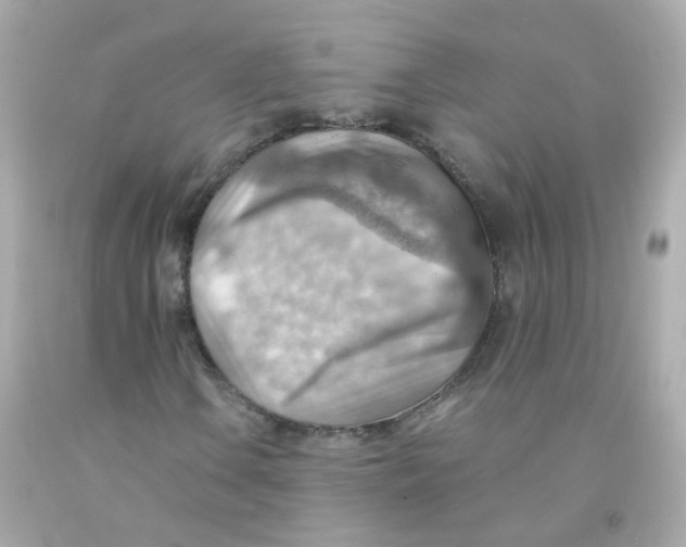 X0000093151106200710241357