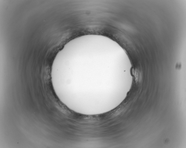 X0000093151107200710241357