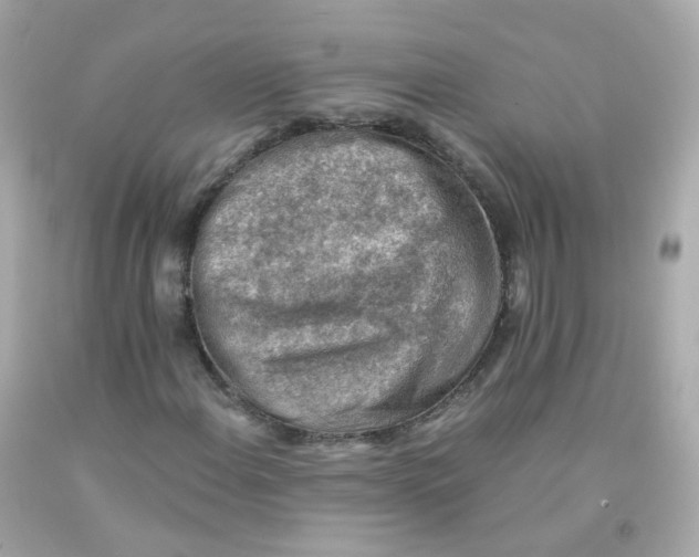 X0000093151108200710241357