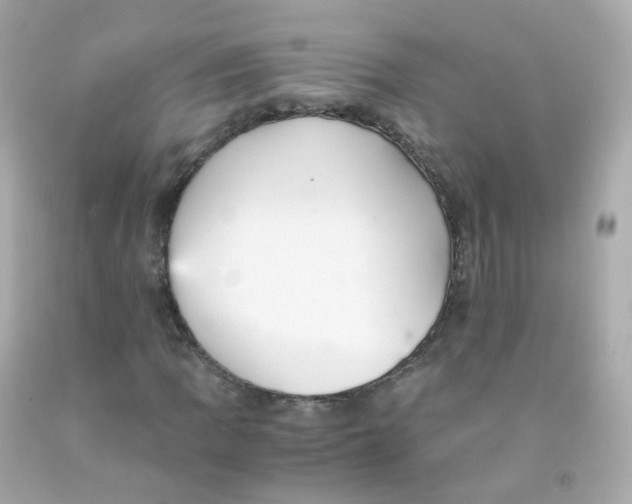 X0000093151109200710241357