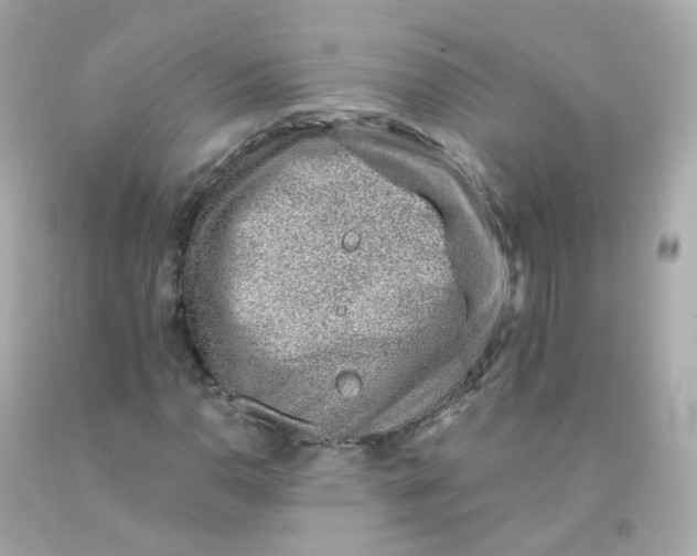 X0000093151110200710241357