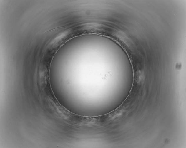 X0000093151111200710241357