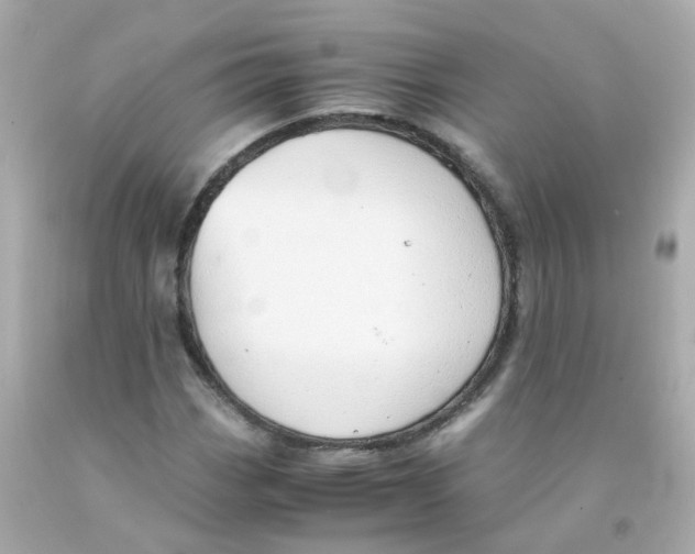 X0000093151113200710241357