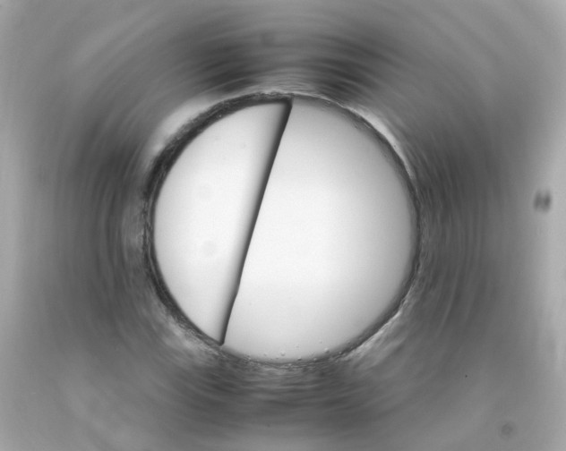 X0000093151115200710241357