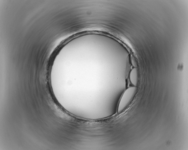 X0000093151116200710241357