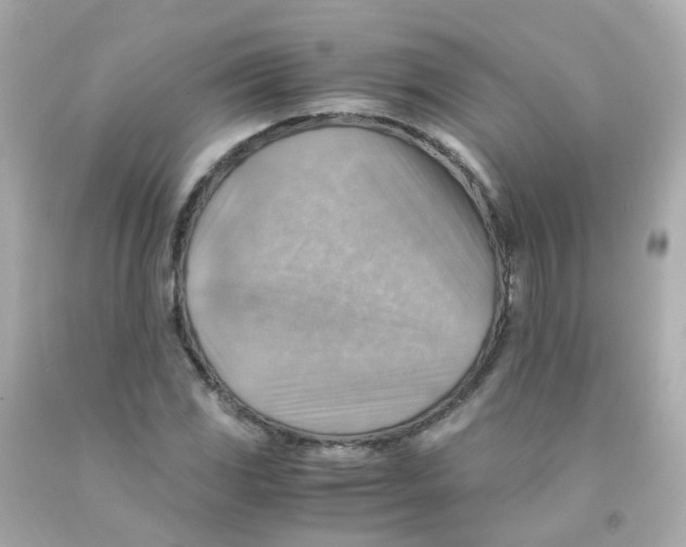 X0000093151117200710241357