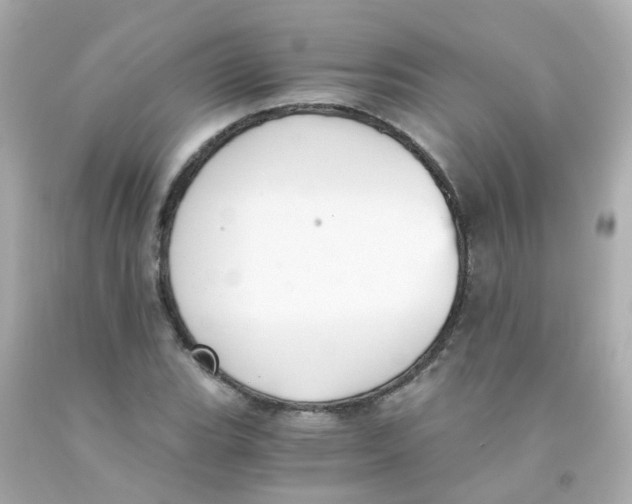 X0000093151119200710241357