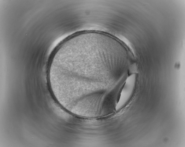 X0000093151120200710241357