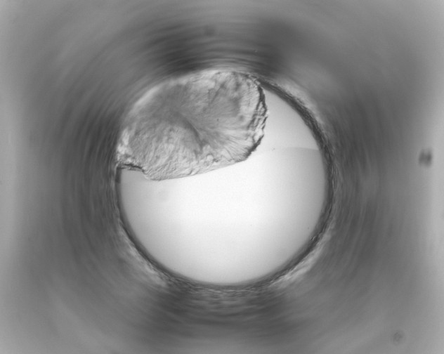 X0000093151121200710241357