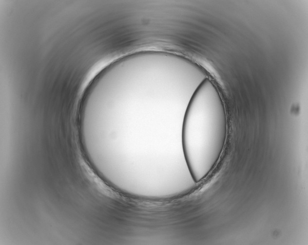 X0000093151122200710241357