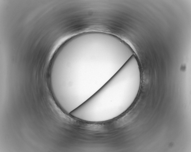 X0000093151123200710241357