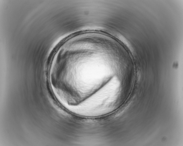 X0000093151124200710241357