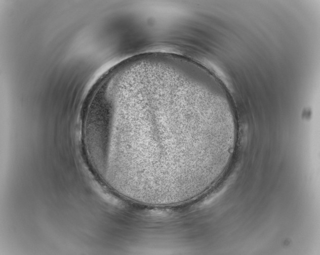 X0000093151125200710241357