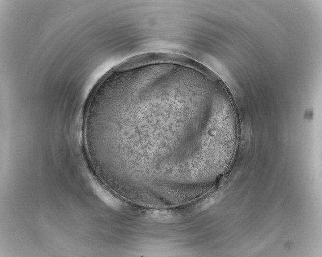 X0000093151128200710241357