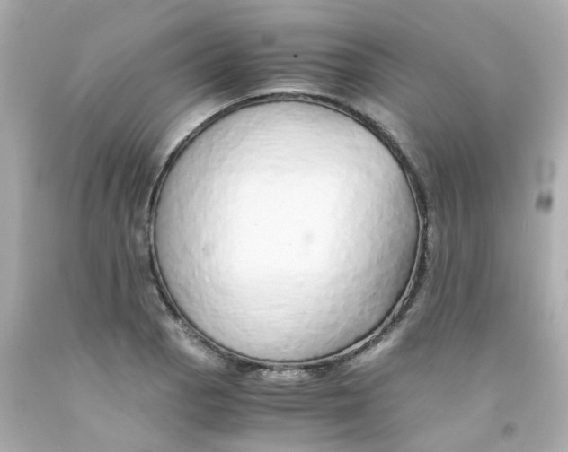 X0000093151129200710241357