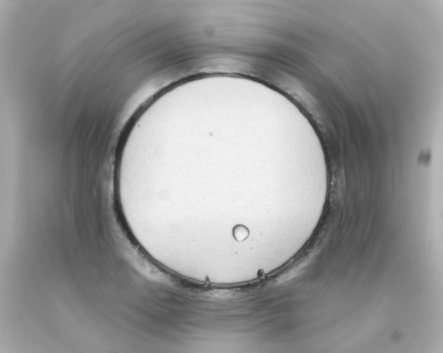 X0000093151130200710241357