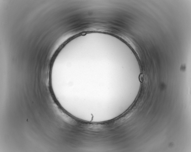 X0000093151131200710241357