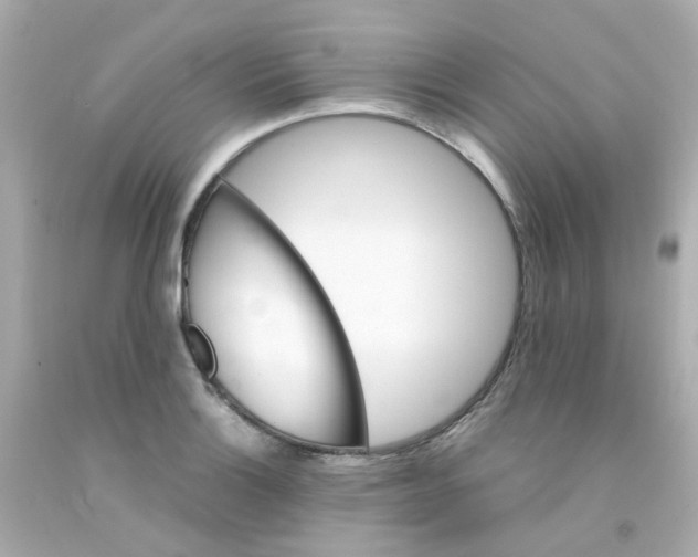 X0000093151132200710241357