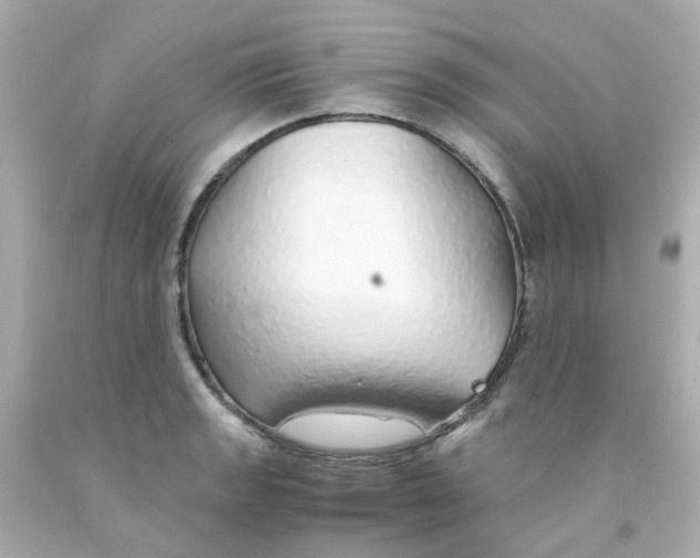 X0000093151133200710241357