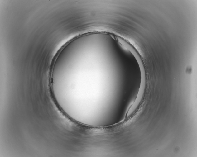 X0000093151134200710241357