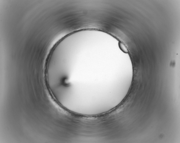 X0000093151135200710241357