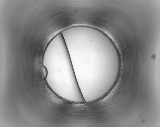 X0000093151137200710241357