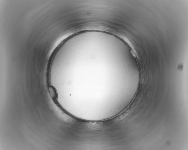 X0000093151139200710241357