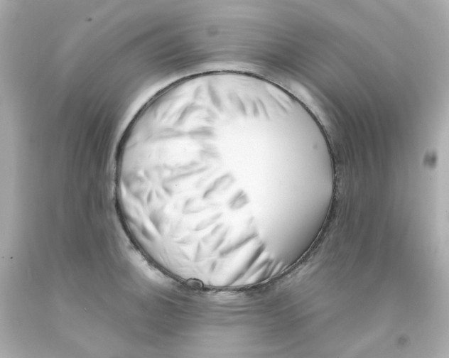 X0000093151140200710241357