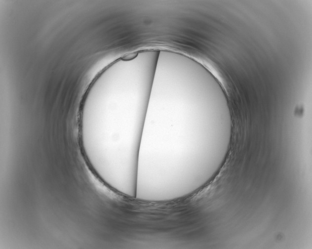 X0000093151143200710241357